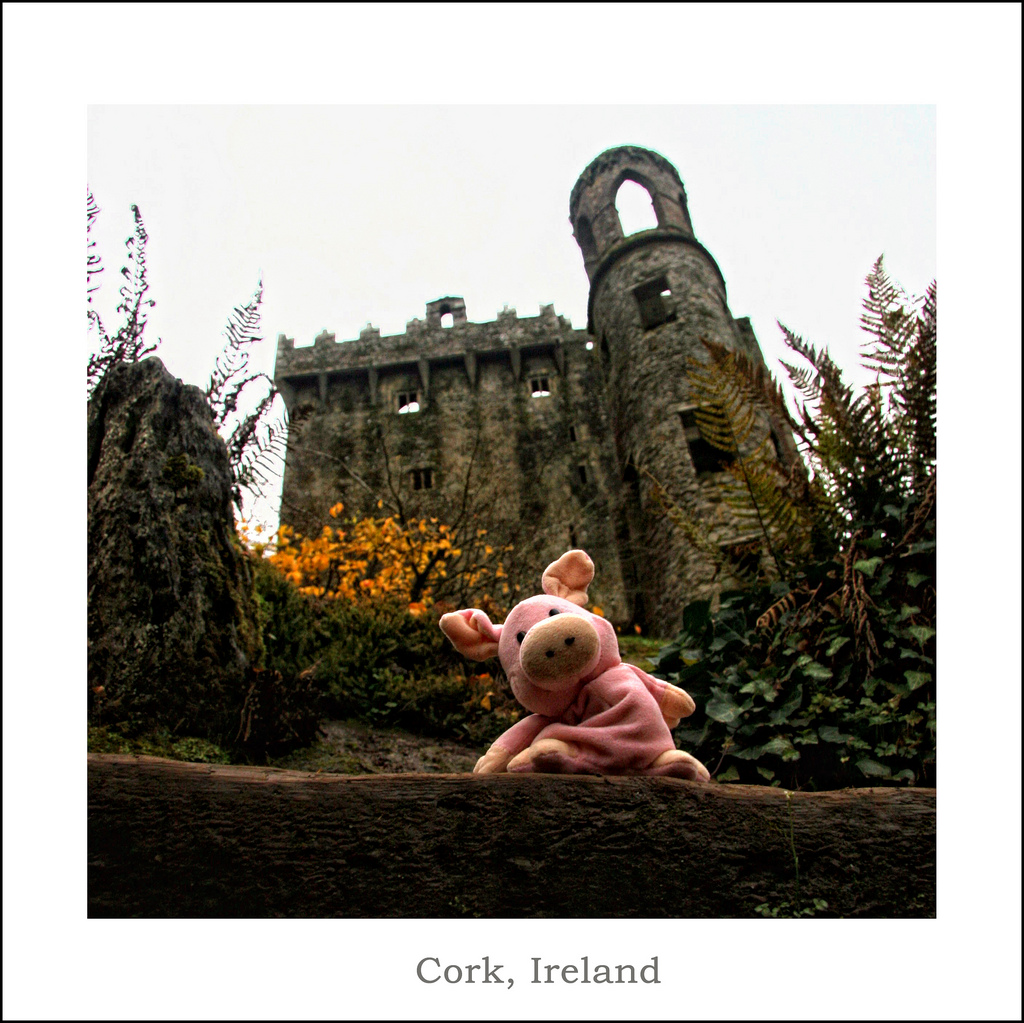 (c)JerseyStyle Photography_Flo_Cork Ireland